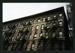 Block 295: Orchard Street between Broome Street and Grand Street (west side)
