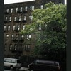 Block 295: Allen Street between Grand Street and Broome Street (east side)