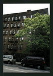 Block 295: Allen Street between Grand Street and Broome Street (east side)