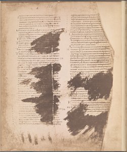 Photographic facsimiles of the remains of the Epistles of Clement of Rome,