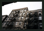 Block 296: Orchard Street between Grand Street and Hester Street (west side)