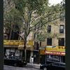 Block 298: Allen Street between Division Street and Canal Street (east side)
