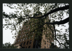 Block 298: Allen Street between Division Street and Canal Street (east side)