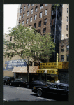 Block 298: Allen Street between Division Street and Canal Street (east side)