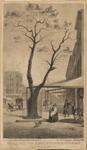 The old pear-tree plated by Governor Stuyvesant, corn 3d Ave & 13th St.