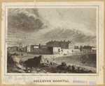 Bellevue Hospital
