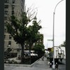 Block 301: Hester Street between Allen Street and Eldridge Street (north side)