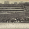 "Play ball"--In 1890--The present ball park of the New York Giants is familiar to most of us, but few can recollect how it originally looked. Here is a rare photo of the Polo Grounds upon the occasion of its opening in 1890--just 50 years after the founding of Park & Tilford. 
