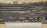 "Play ball"--In 1890--The present ball park of the New York Giants is familiar to most of us, but few can recollect how it originally looked. Here is a rare photo of the Polo Grounds upon the occasion of its opening in 1890--just 50 years after the founding of Park & Tilford. 