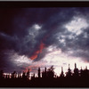 Trees and clouds