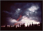 Trees and clouds