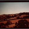 Fields and trees