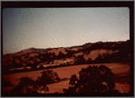 Fields and trees