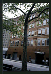 Block 301: Allen Street between Grand Street and Hester Street (west side)