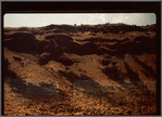 Hillside
