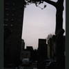 Block 301: Allen Street between Grand Street and Hester Street (west side)