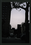 Block 301: Allen Street between Grand Street and Hester Street (west side)
