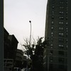 Block 301: Allen Street between Grand Street and Hester Street (west side)