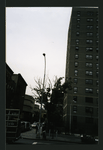 Block 301: Allen Street between Grand Street and Hester Street (west side)