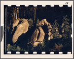 Rocks