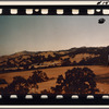 Field