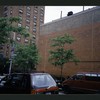 Block 305: Eldridge Street between Rivington Street and Stanton Street (east side)