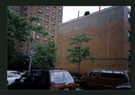 Block 305: Eldridge Street between Rivington Street and Stanton Street (east side)
