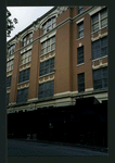 Block 307: Forsyth Street between Stanton Street and East Houston Street (east side)