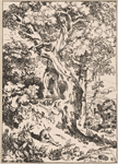 Study of old trees and shrubs with seated figure