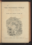 The Feathered world