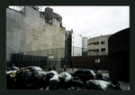 Block 313: Eldridge Street between Hester Street and Canal Street (west side)
