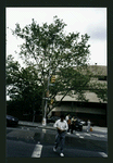 Block 315: Canal Street between Chrystie Street and Forsyth Street (north side)