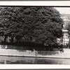 Paris, Seine River