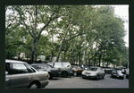 Block 315: Forsyth Street between Canal Street and Grand Street (west side)