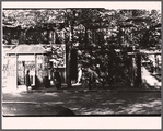 Paris street scene