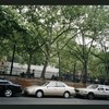 Block 315: Chrystie Street between Grand Street and Canal Street (east side)
