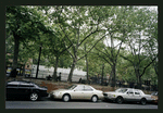 Block 315: Chrystie Street between Grand Street and Canal Street (east side)