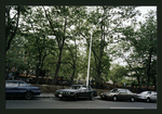 Block 315: Chrystie Street between Grand Street and Canal Street (east side)