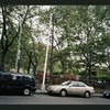 Block 315: Chrystie Street between Grand Street and Canal Street (east side)