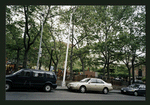 Block 315: Chrystie Street between Grand Street and Canal Street (east side)
