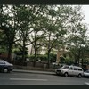 Block 315: Chrystie Street between Grand Street and Canal Street (east side)