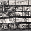 New York Parade