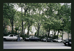Block 316: Chrystie Street between Delancey Street and Grand Street (east side)