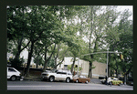 Block 316: Chrystie Street between Delancey Street and Grand Street (east side)