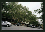 Block 317: Delancey Street between Chrystie Street and Forsyth Street (north side)