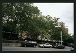 Block 317: Delancey Street between Chrystie Street and Forsyth Street (north side)