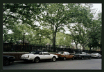 Block 317: Forsyth Street between Delancey Street and East Houston Street (west side)
