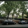 Block 317: Forsyth Street between Delancey Street and East Houston Street (west side)