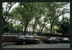 Block 317: Forsyth Street between Delancey Street and East Houston Street (west side)
