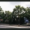 Block 318: East Houston Street between Bowery and Chrystie Street (south side)